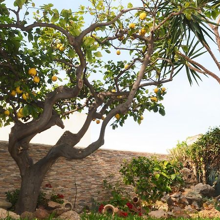 Kimos Bed & Breakfast San Vito Lo Capo Exterior photo