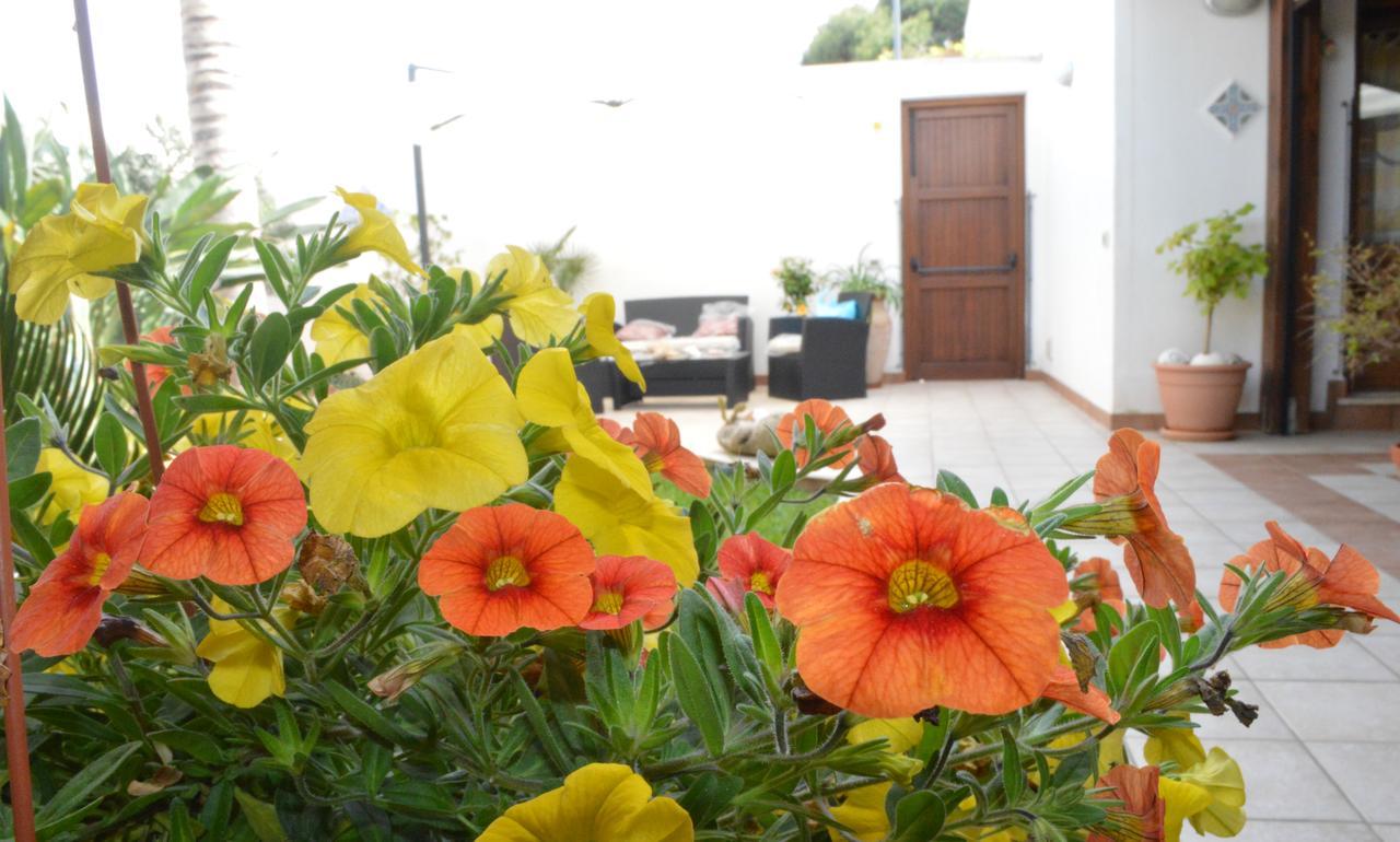 Kimos Bed & Breakfast San Vito Lo Capo Exterior photo